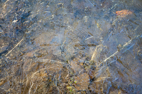 春天在水坑上的薄冰与一片草叶冰冷的抽象春天早晨冰图片