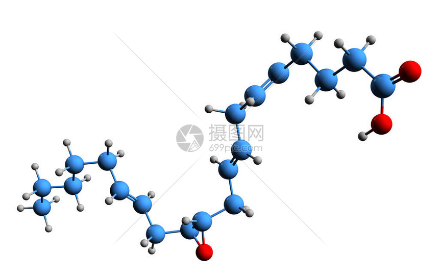 12环氧二十碳三烯酸骨架式的3D图像在白色背景下分离的11图片