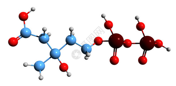 5二磷酸甲羟戊酸骨架式的3D图像在白色背景下分离的甲羟戊酸途径中间体的图片