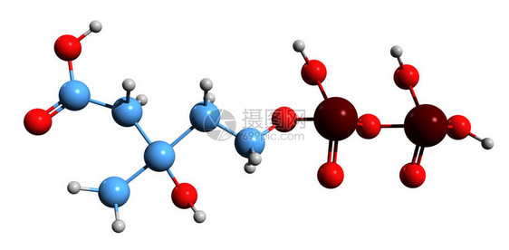 5二磷酸甲羟戊酸骨架式的3D图像在白色背景下分离的甲羟戊酸途径中间体的图片