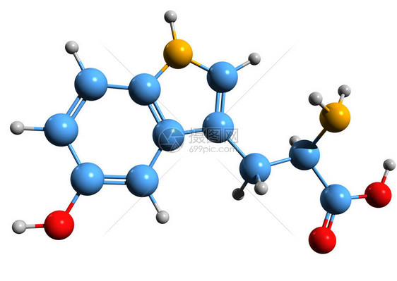 5羟基色氨酸骨架式的3D图像在白色背景下分离的5htp的图片