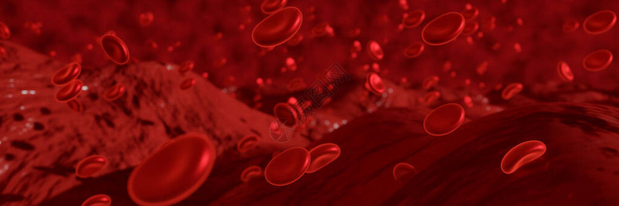 红血细胞在血管中流动图片