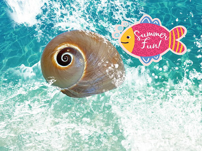 夏天背景贝壳在海浪蓝色海水溅模板背景与夏天复制空间横幅抽象假期图片