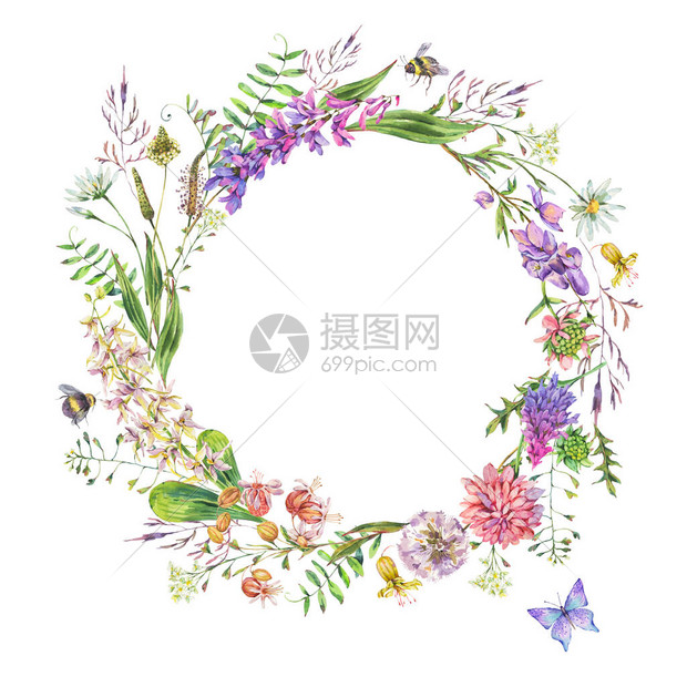 白色背景上的植物花卉圆形框架图片