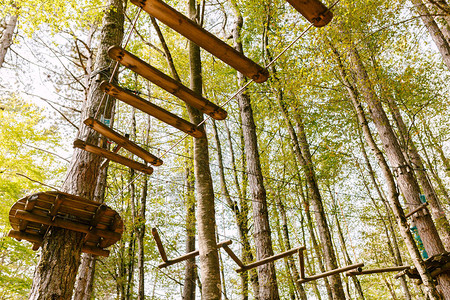 夏季森林蓝天风景中的绳索冒险公园克服障碍和达到高空的抽象概图片