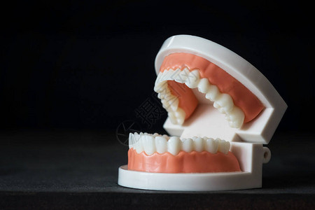 用于医学插图的人类牙齿和颌骨解剖模型在黑色背景上与文本的复制空间隔离健康的牙齿牙科护图片