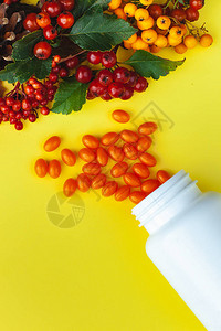 秋天配有维他命和浆果的成分CoenzymeQ10药片以心脏的形式呈现出来图图片