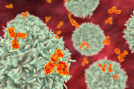 细胞和抗体3D插图免疫原则背景图片