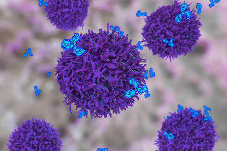 细胞和抗体3D插图免疫原则背景图片