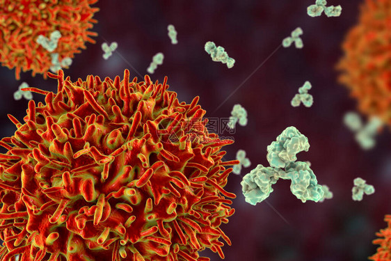 细胞和抗体3D插图免疫原则图片
