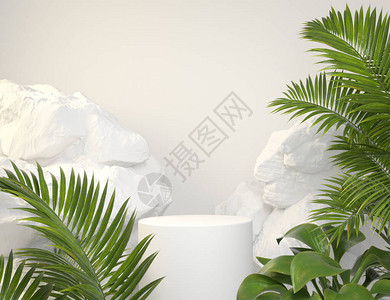 含有绿色热带植物和岩石背景3d的熔化白MockupWhitep图片