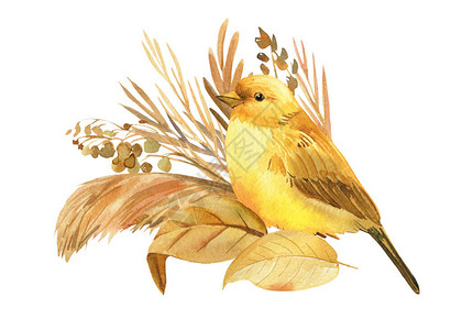 秋 鸟插画_秋 鸟卡通_秋 鸟插图_手绘_板绘_摄图网