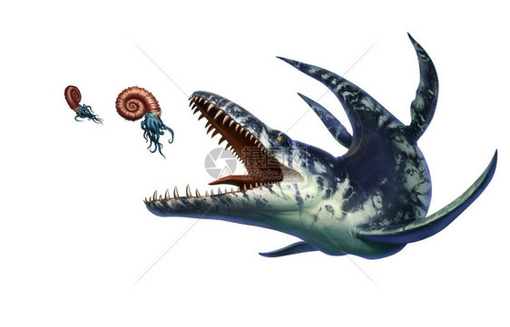 Kronotaurus是海洋爬行动物猎食动物图片