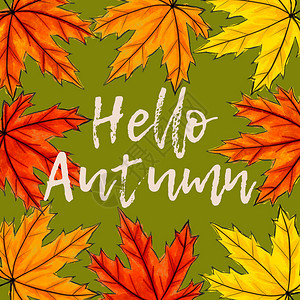 感恩展板白色书法题词你好秋天被黄色橙色和红色的枫叶包围在绿色背景的秋天树叶中间手写刻字明信片邀请插画