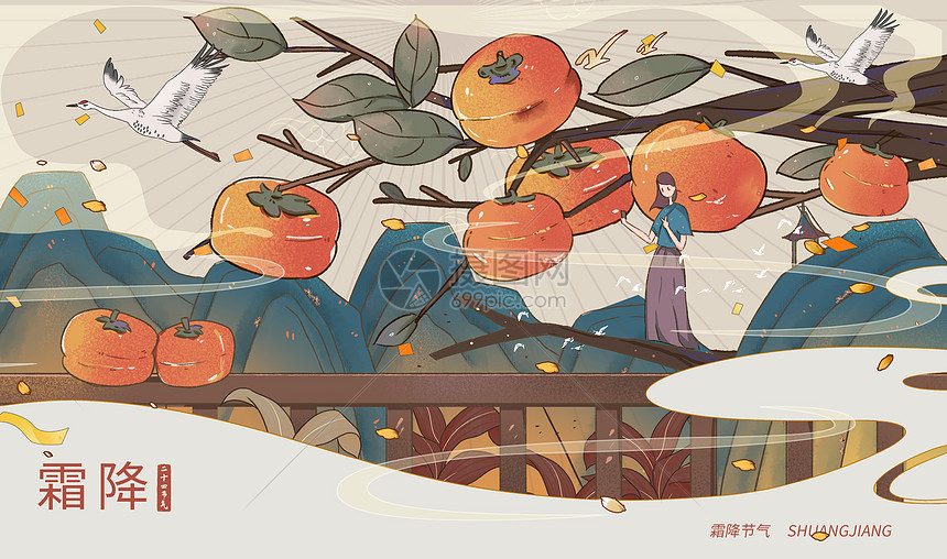 霜降节气树上的大柿子插画图片