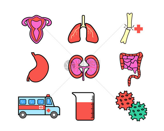 多色医疗主题五脏六腑相关矢量元素套图图片