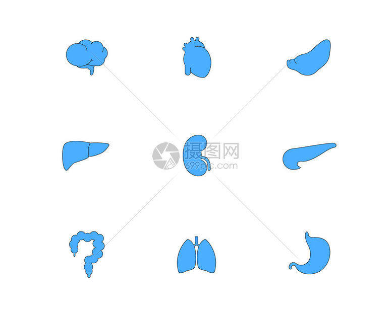 蓝色医疗五脏六腑图标svg图标元素套图插画图片下载-正版图片402399473-摄图网