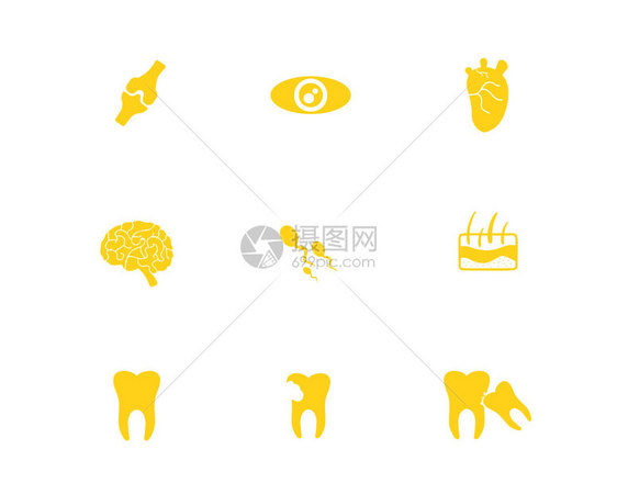 黄色人体器官图标牙齿svg图标元素套图图片