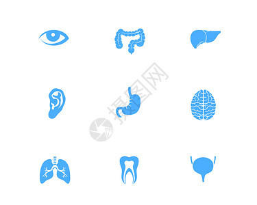 蓝色人体器官图标svg图标元素套图4图片