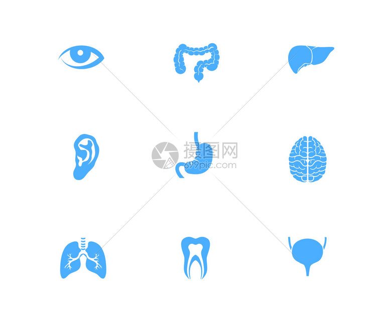 蓝色人体器官图标svg图标元素套图4图片