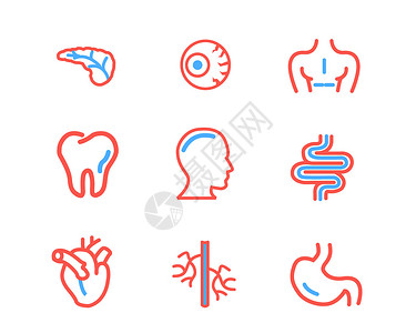 红蓝配色医疗行业图标svg图标元素套图插画