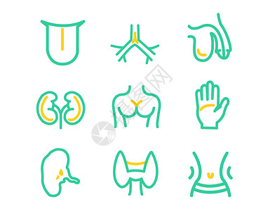 支气管黄绿色医疗行业图标svg图标元素套图插画