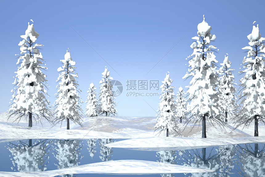 冬季雪松场景图片