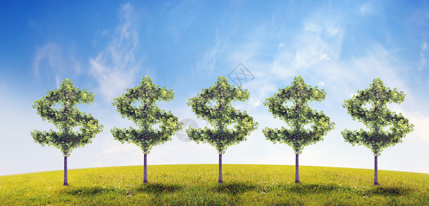 货币树投资增长收入利息储蓄经济为股票市场金融业务提供资金背景图片
