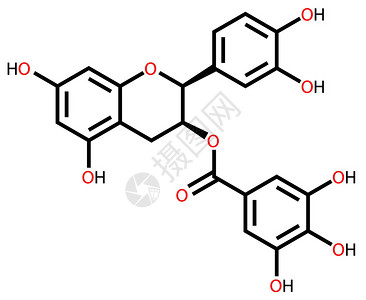 表儿茶素没食子酸分子式背景图片