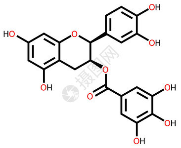 表儿茶素没食子酸分子式图片