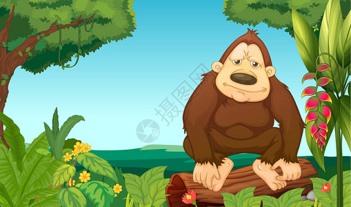 在树林里的大猩猩图片