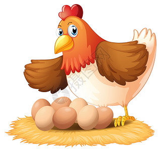 一只母鸡和她的七个鸡蛋在白色上的插图图片