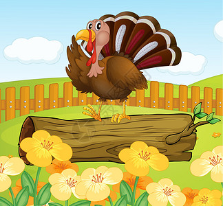 一只火鸡在栅栏内木头上方的插图图片