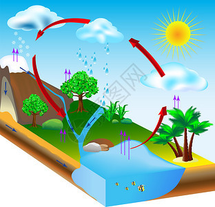 水循环质矢量图图片
