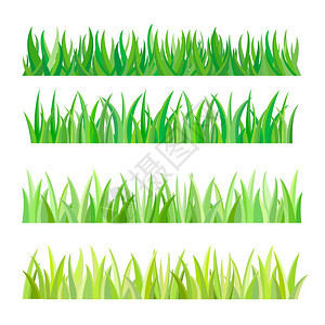 绿草被孤立矢量图图片