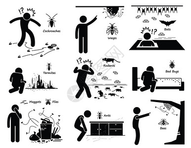 感染的害虫蟑螂黄蜂蝙蝠白蚁大鼠Bug蛆蚂蚁蜜蜂图片