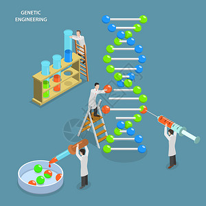 基因工程等距平面向量概念图片