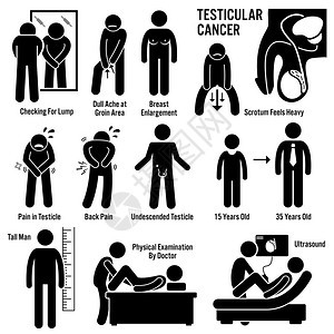 睾丸睾丸睾丸癌症状导致风险因素诊断棒图象形图图标图片