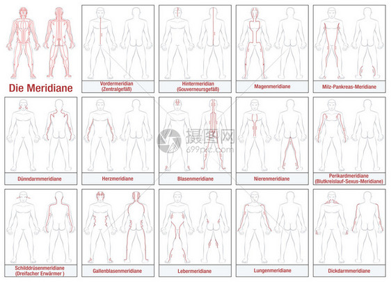身体经络德国主要针灸经络及其流动方向的示意图白色背景上的图片