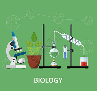 生物实验室工作区图片