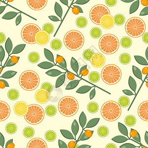 柑橘的模式水果的背景柠檬和橘子夏天明亮的背景图片