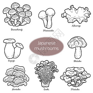 黑白套日本蘑菇用不同真菌着色页高清图片