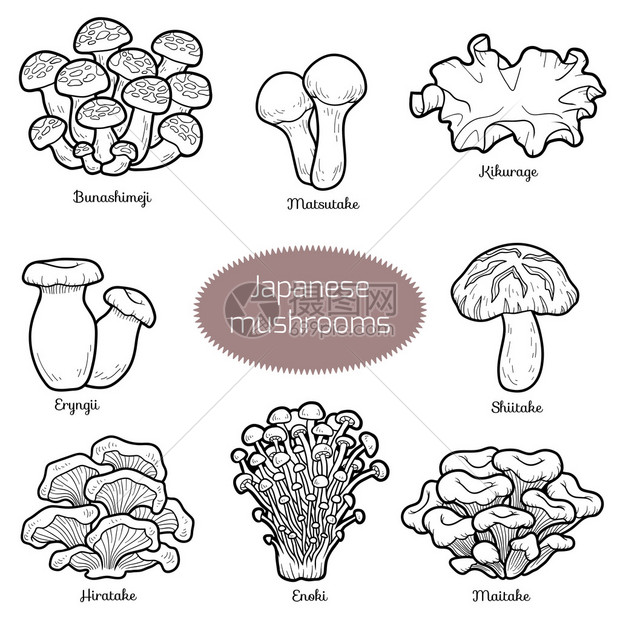 黑白套日本蘑菇用不同真菌着色页图片