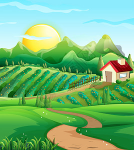 农场插图中蔬菜的场景图片