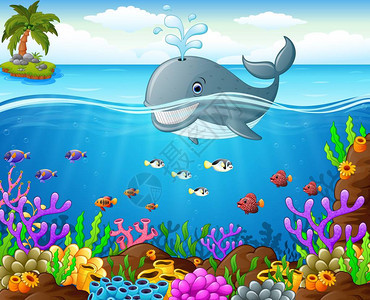 卡通鲸鱼在海之下图片