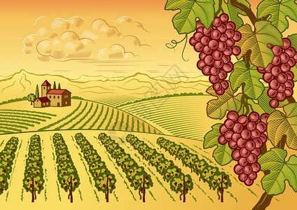 木 桶retro葡萄园山谷地貌以木切方式呈现插画