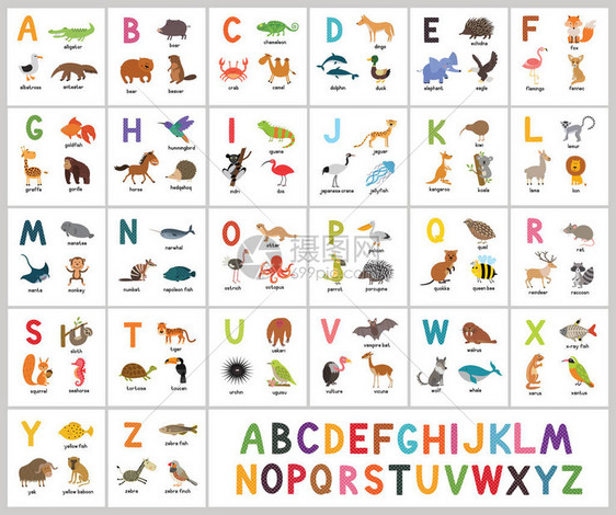 可爱的矢量动物园字母表与卡通动物隔离在白色背景图片