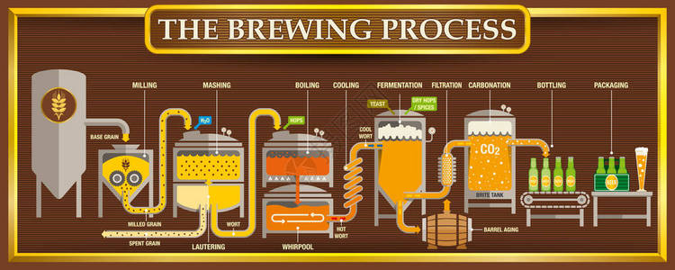 酿造过程信息图形与啤酒上棕色背景与金的设计元素矢量图像图片