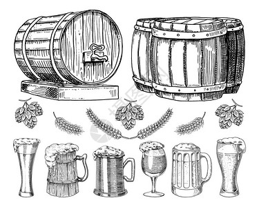 酒或啤酒古典木制桶为乡村景观的朗姆酒大麦和小麦麦芽啤酒花刻在墨手为web或酒吧菜单旧素描和复古风格绘制的慕图片