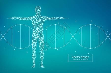 具有分子DNA医学科学和技术概念矢量图解的人体抽象体图片